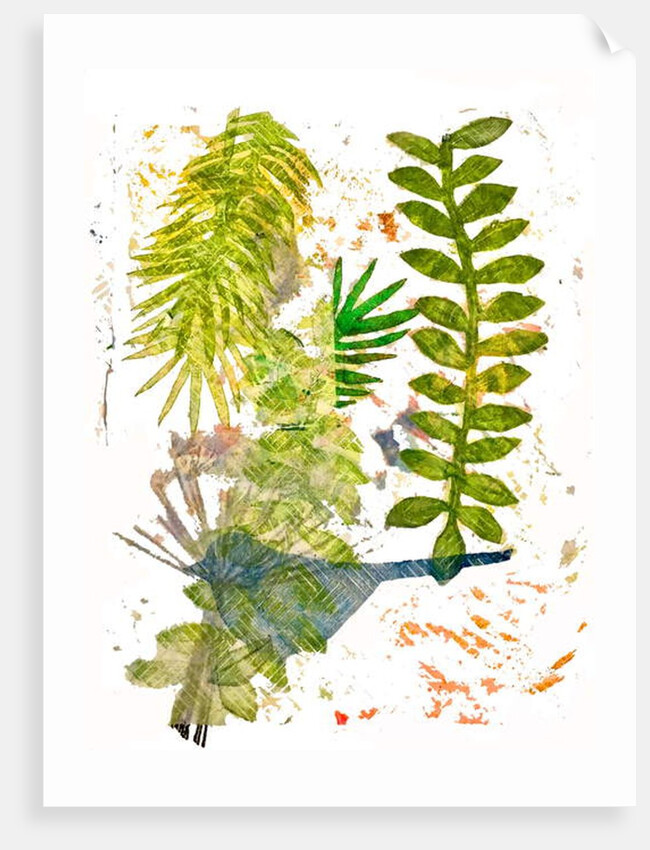 Botanical jungle, 2019 by Sarah Thompson-Engels