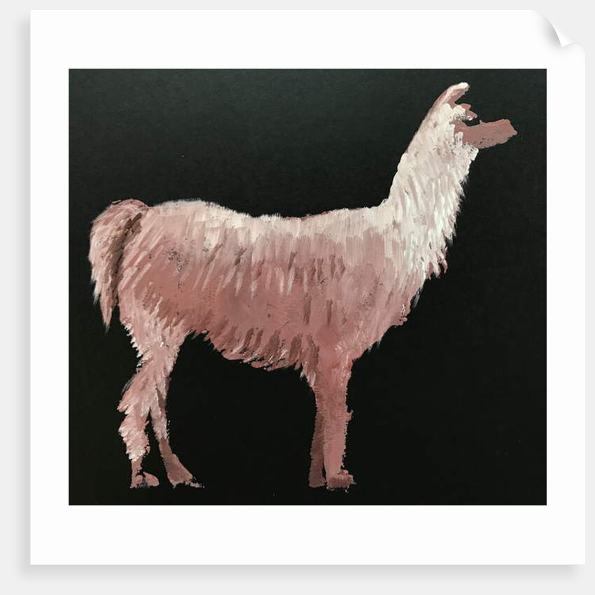 Llama, 2019 by Sarah Thompson-Engels
