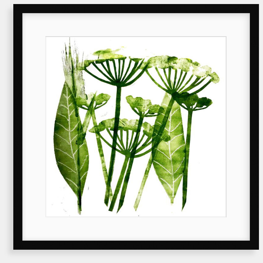 Cow Parsley in green, 2019 by Sarah Thompson-Engels