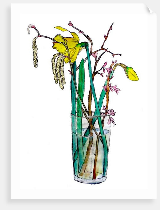 Daffodils and catkins, 2018 by Sarah Thompson-Engels