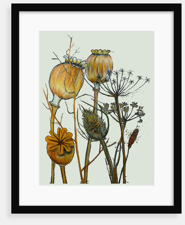 Dried seed heads,2019 by Sarah Thompson-Engels