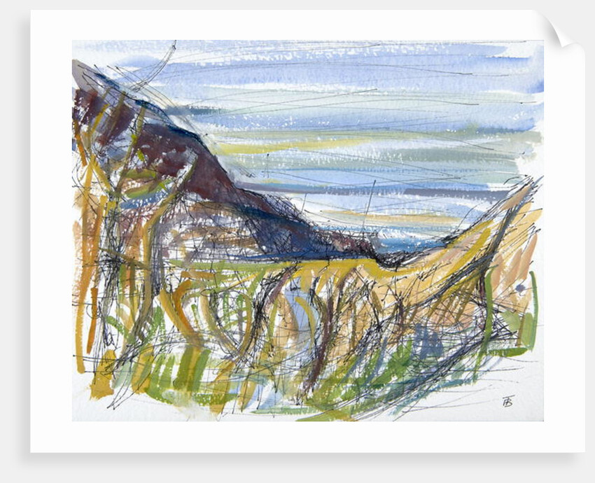 Towards Marsland Mouth, North Devon by Erin Townsend