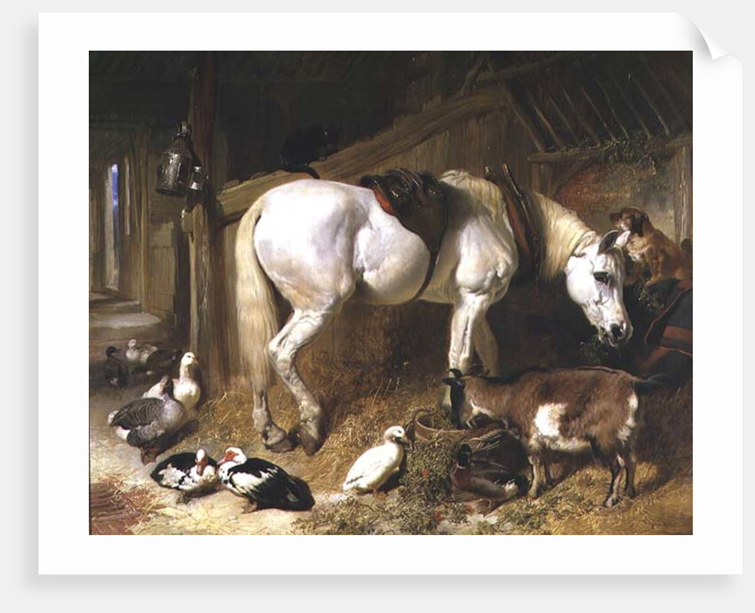 The Midday Meal, 1850 by John Frederick Herring Snr