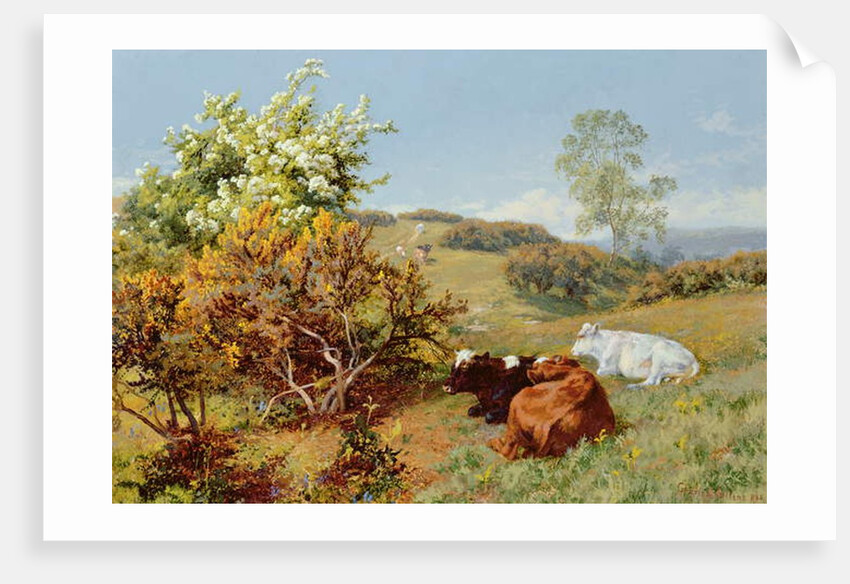 In the Nower, Dorking by Charles Collins