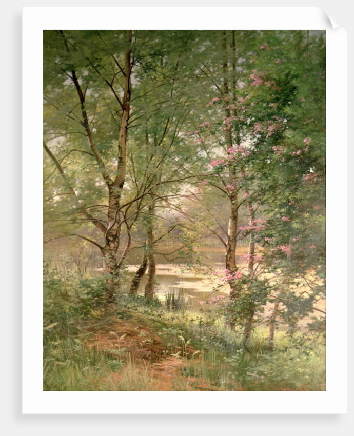 In a Fairy Woodland by Ernest Parton