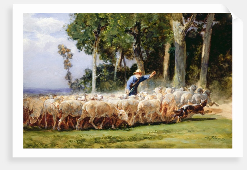 A Shepherd with a Flock of Sheep by Charles Emile Jacques