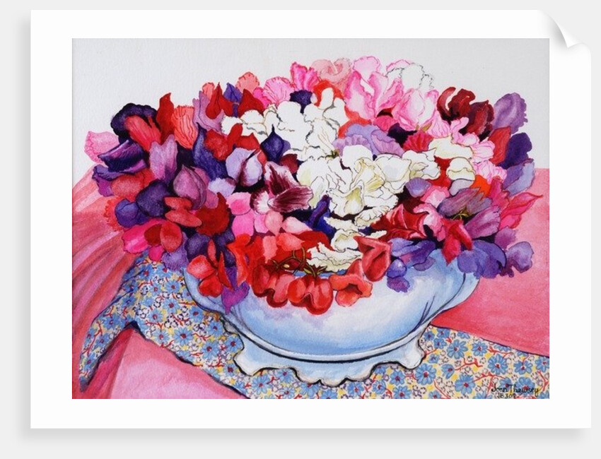 Sweet Peas in a Victorian Pot with Textiles, 2012 by Joan Thewsey