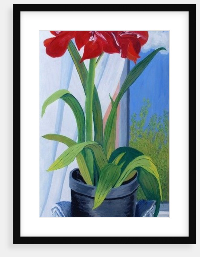 Amaryllis in a Blue Bowl, 2011 by Joan Thewsey