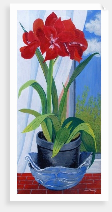 Amaryllis in a Blue Bowl, 2011 by Joan Thewsey