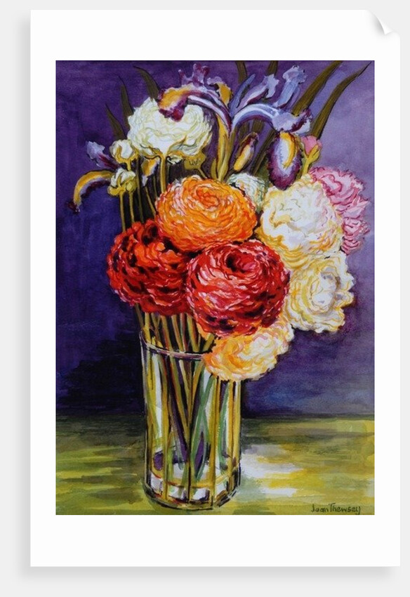 Ranunculus in a Glass, 2000 by Joan Thewsey