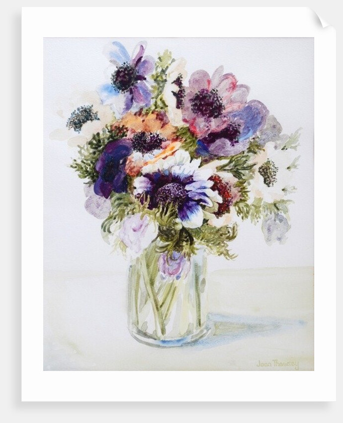Anemones in a Glass Jug, 2000 by Joan Thewsey