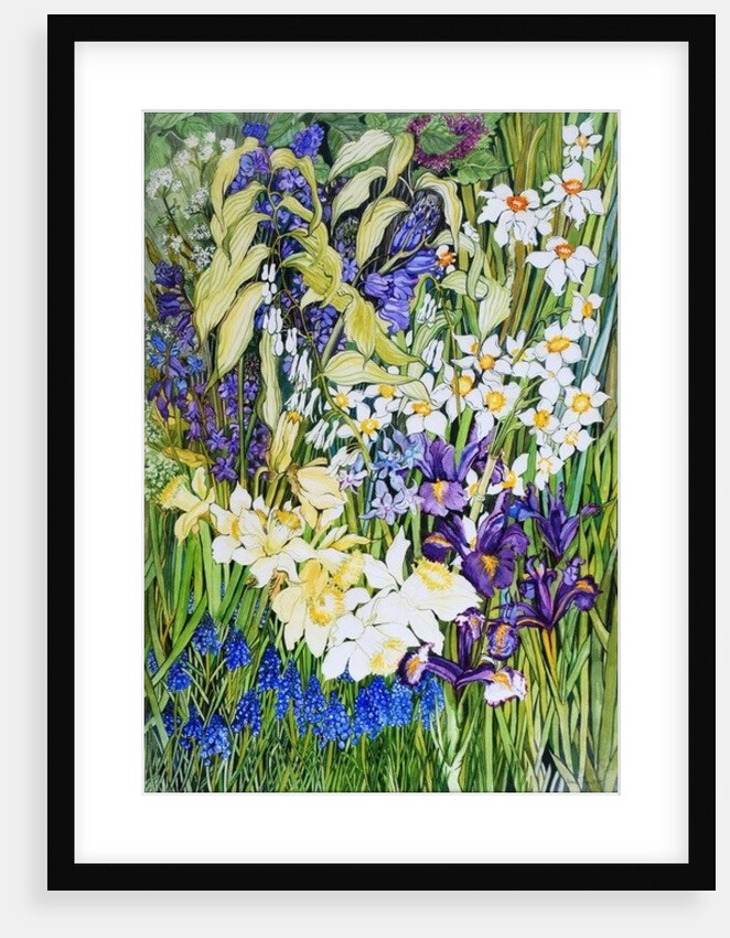 Spring Border, 2012 by Joan Thewsey