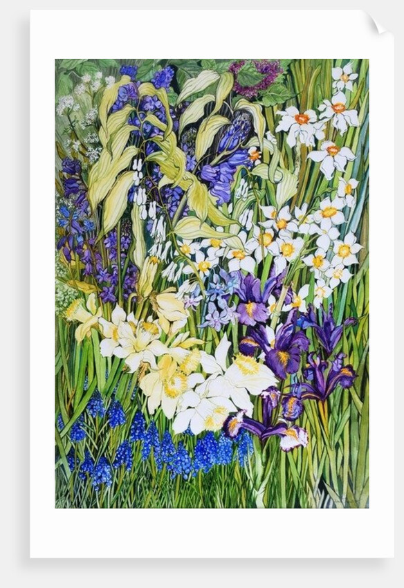 Spring Border, 2012 by Joan Thewsey