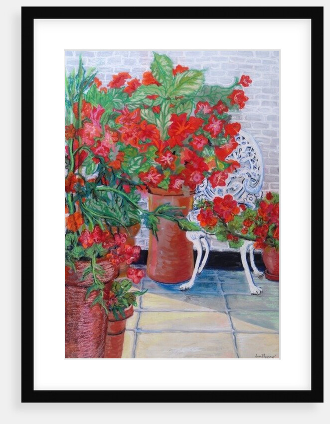 Geraniums and Petunias on the Terrace, 2011 by Joan Thewsey