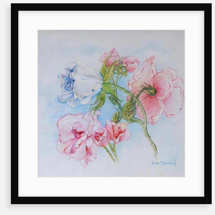 Morning Roses, 2002 by Joan Thewsey