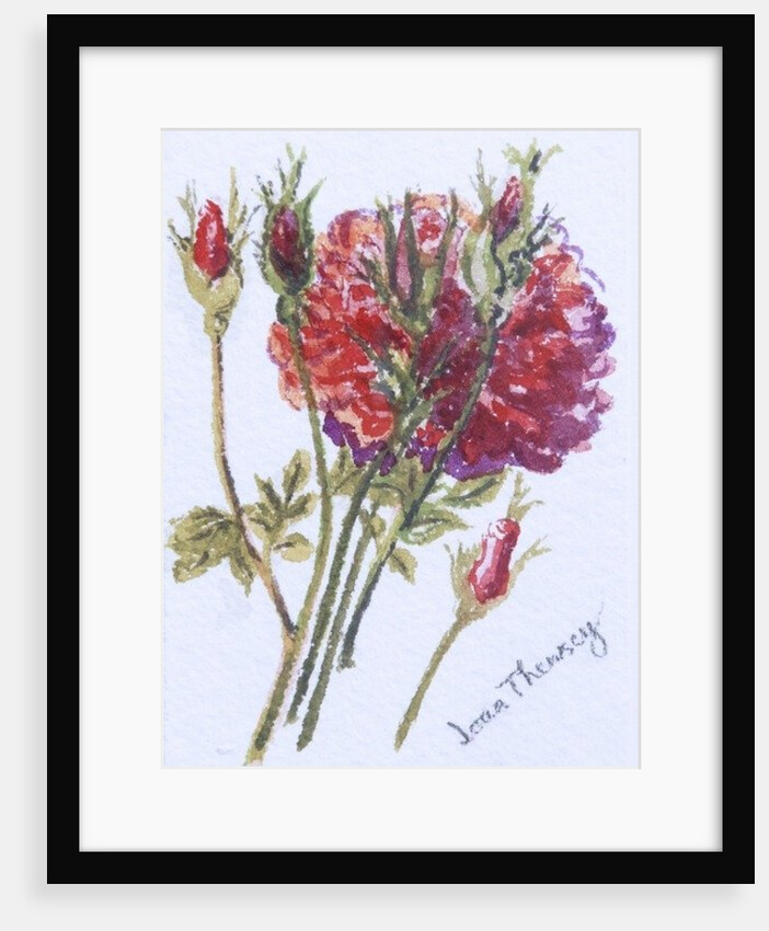 Little Red Roses, 2005 by Joan Thewsey