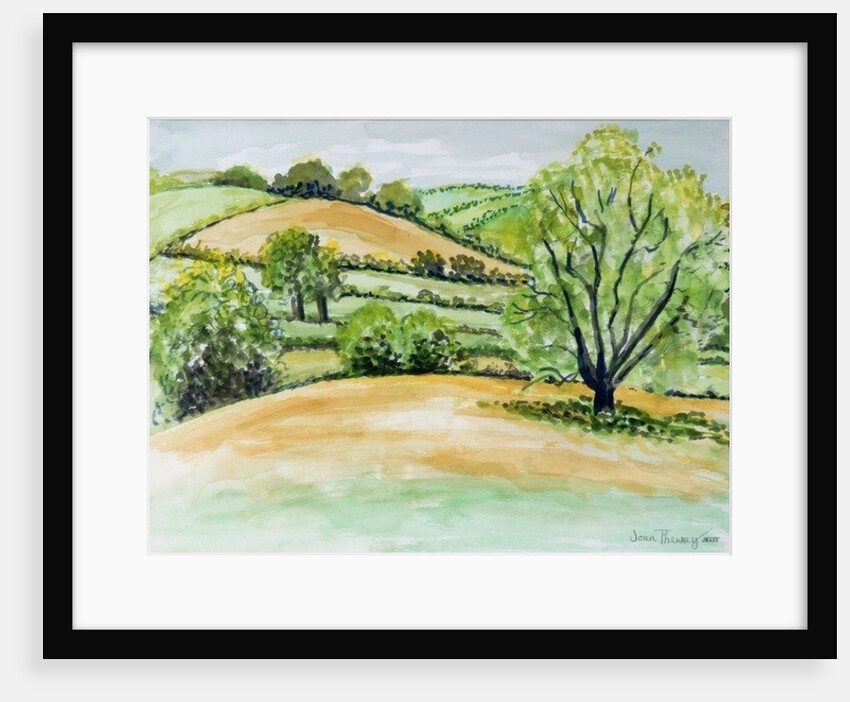 Suffolk Landscape, view from Dalham Church, 2011 by Joan Thewsey