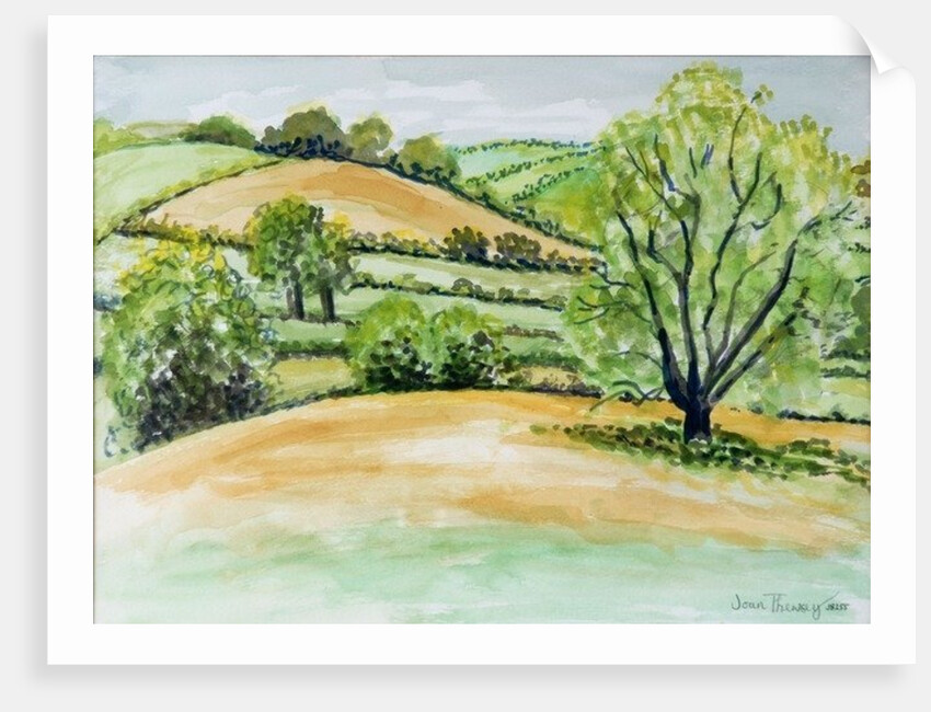 Suffolk Landscape, view from Dalham Church, 2011 by Joan Thewsey