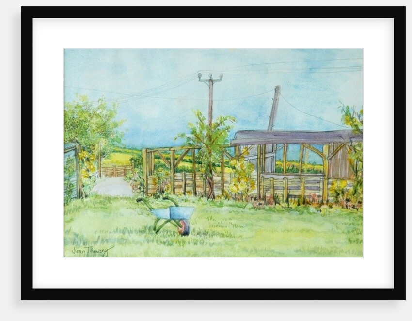 Cottage Garden with Wheelbarrow, 2011 by Joan Thewsey