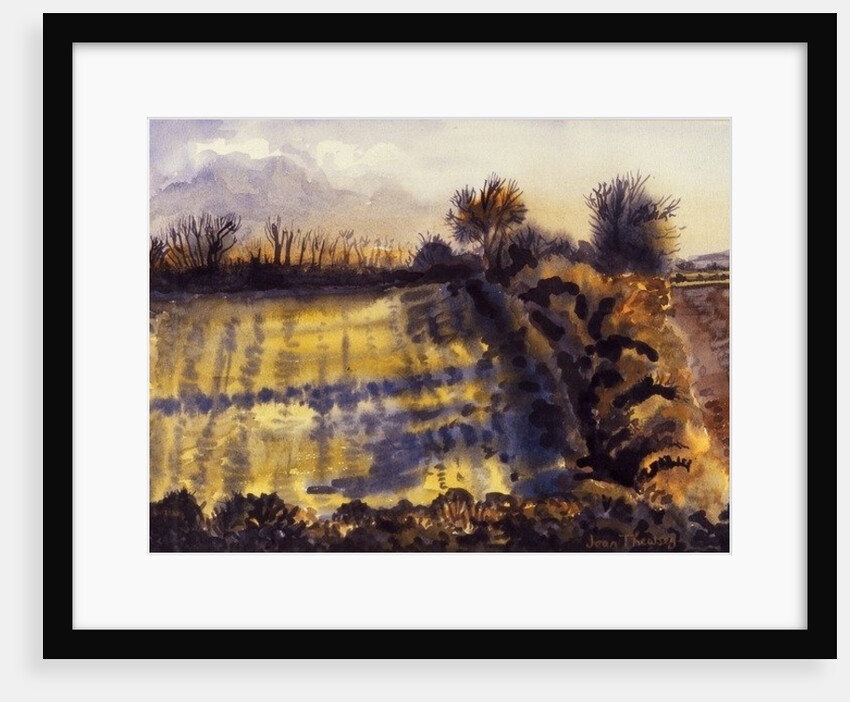 Field with Long Shadows by Joan Thewsey