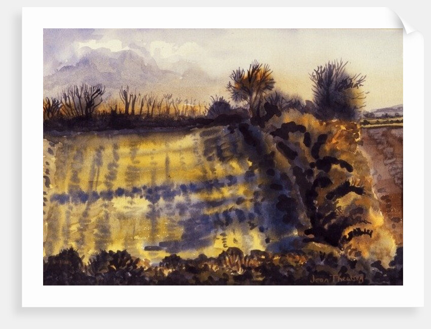 Field with Long Shadows by Joan Thewsey