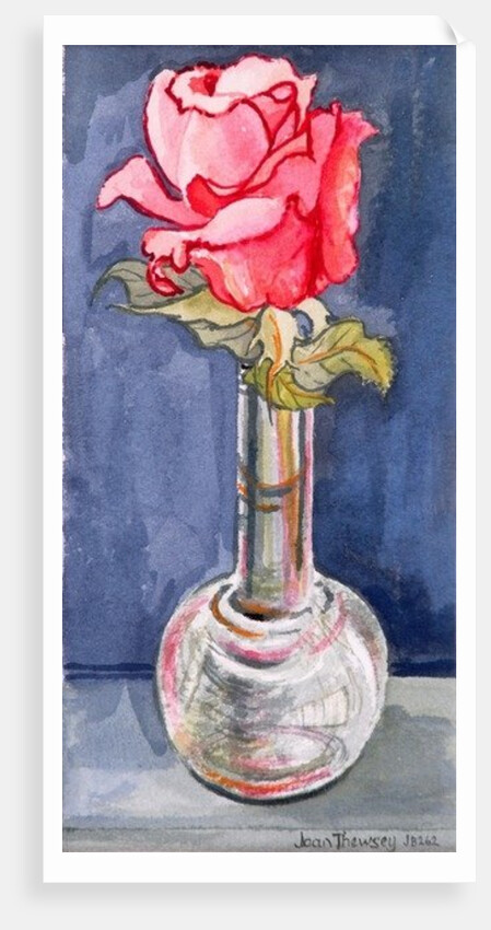 Pink Rose in a Bud Vase, 2000 by Joan Thewsey