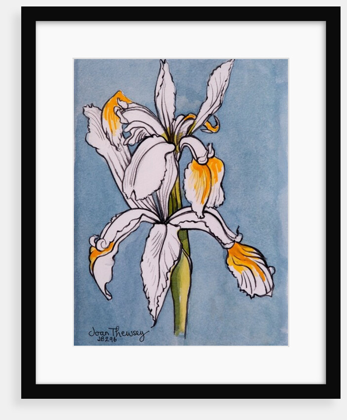 Two Irises, 2001 by Joan Thewsey