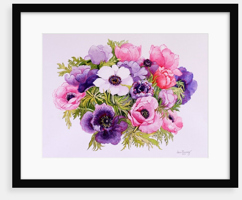 Anemones, 2001 by Joan Thewsey