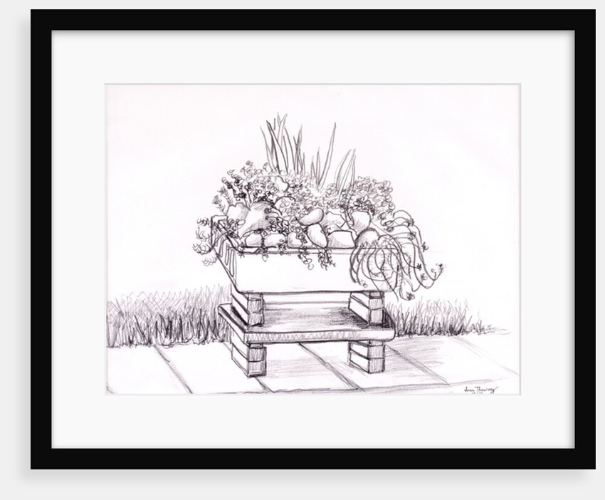 The Sink Garden, 2000 by Joan Thewsey