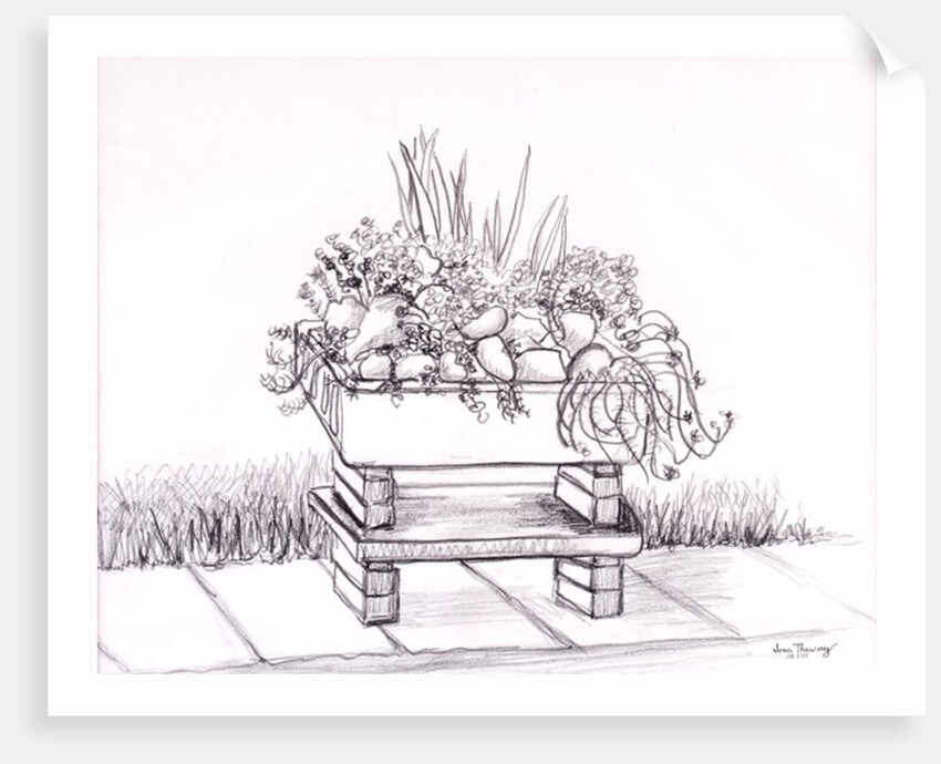 The Sink Garden, 2000 by Joan Thewsey