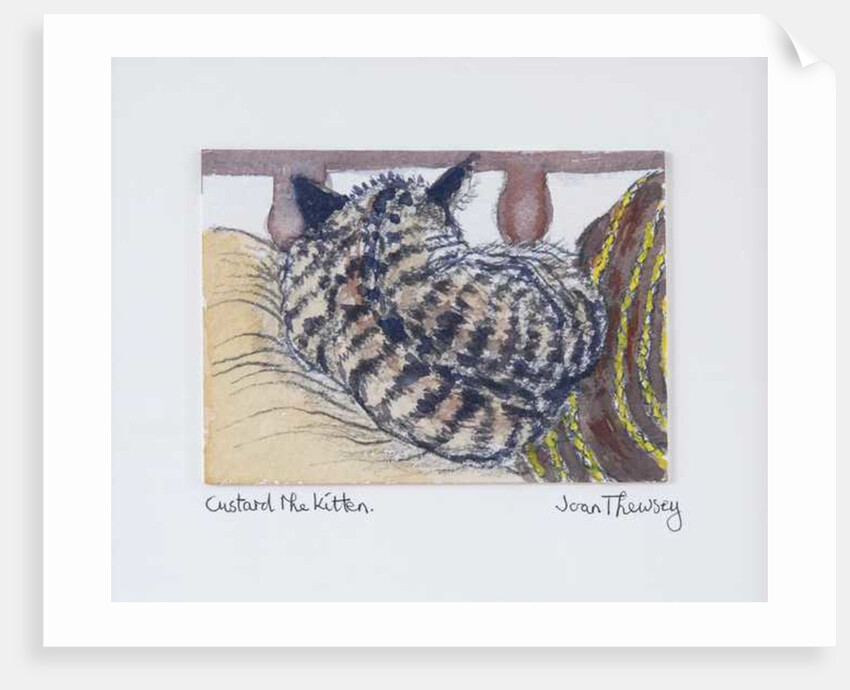Custard the Kitten, 2005 by Joan Thewsey