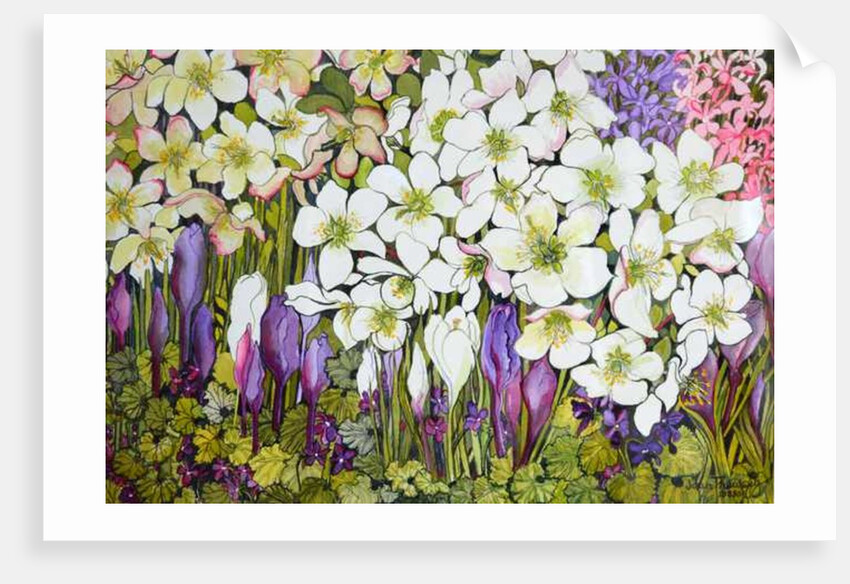 Spring Border: Hellebores, Crocus and Violets, 2000 by Joan Thewsey