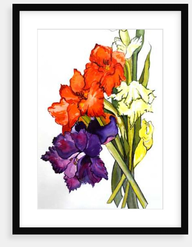 Gladioli, 2011 by Joan Thewsey