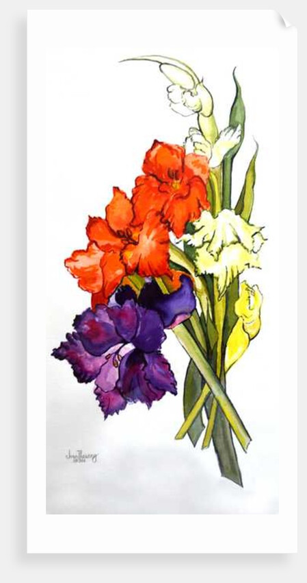 Gladioli, 2011 by Joan Thewsey