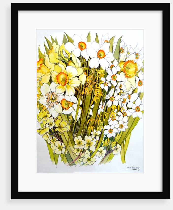 Daffodils, Narcissus, Forsythia and Primroses, 2000 by Joan Thewsey