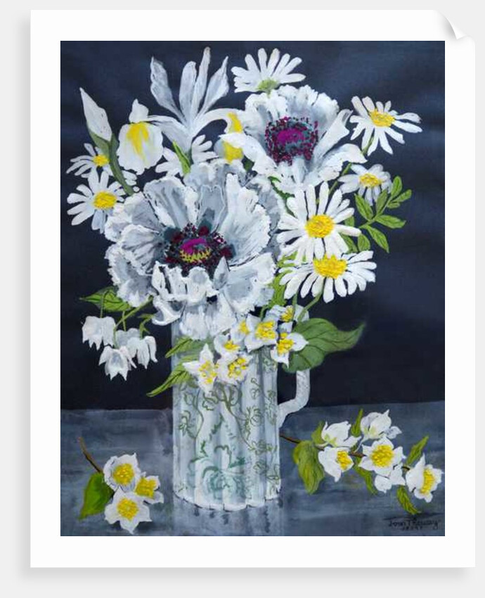 White Poppies, Marguerites and Philadelphus by Joan Thewsey