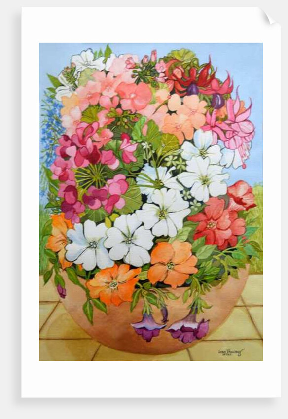 Petunias, Geraniums and Fuchsias in a Terrace Pot, 2005 by Joan Thewsey