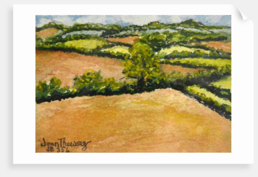Little Suffolk Landscape, 2000 by Joan Thewsey