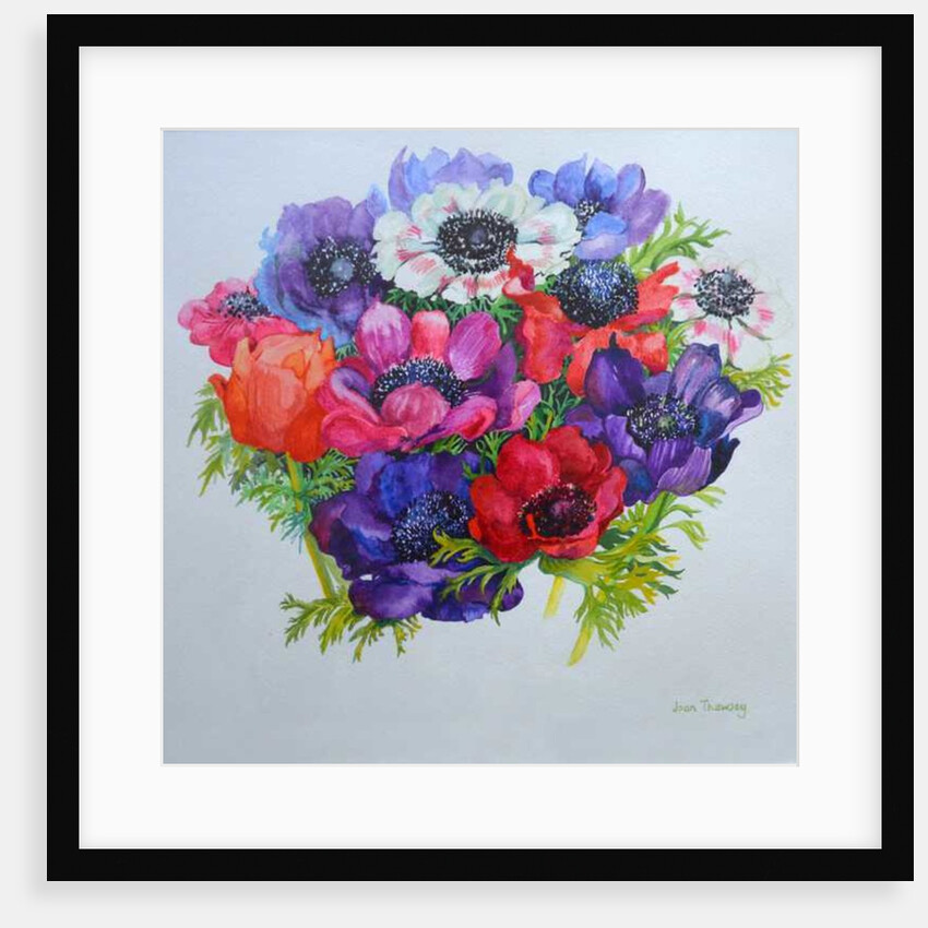 Anemones: red, white, pink and purple, 2000 by Joan Thewsey