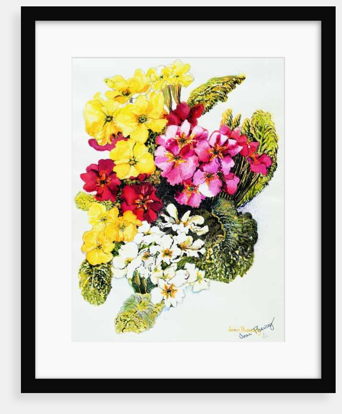 Primroses,White,Yellow,Pink and Red, 2000 by Joan Thewsey