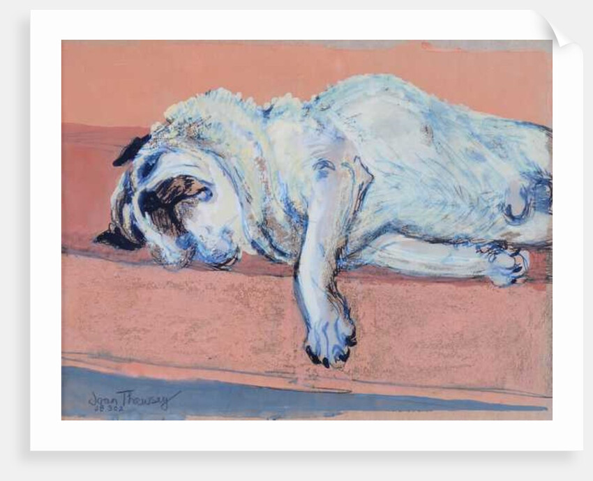 Sleeping Pug Two, 2000 by Joan Thewsey