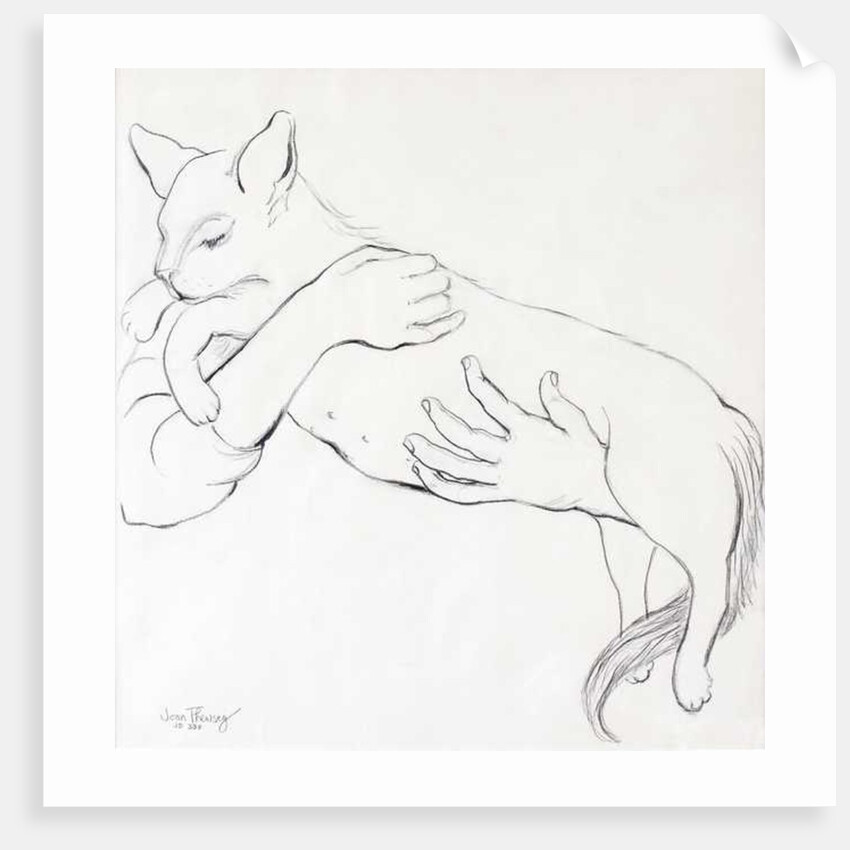 Cuddly Cat, 2000 by Joan Thewsey