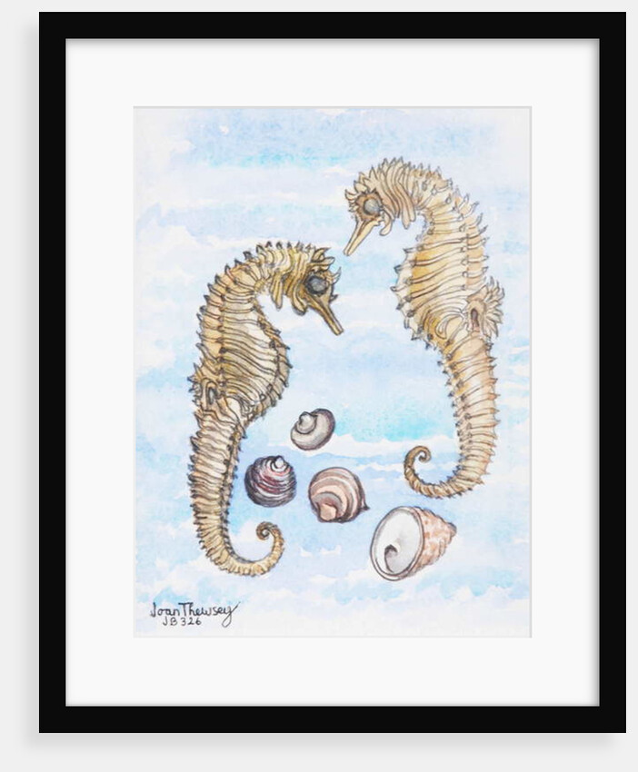 Two Seahorses, with Shells, 2000 by Joan Thewsey