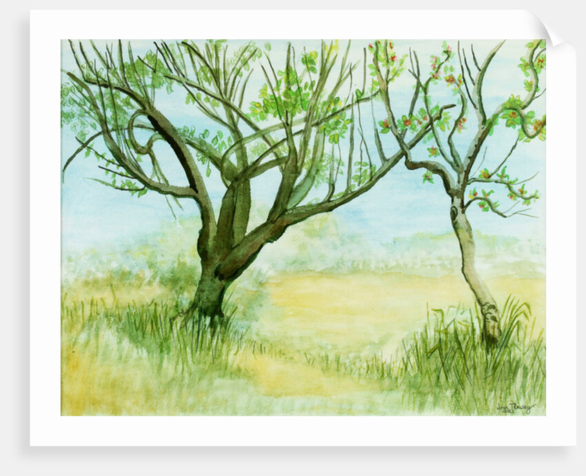 Early Spring Landscape with two trees, 2009 by Joan Thewsey