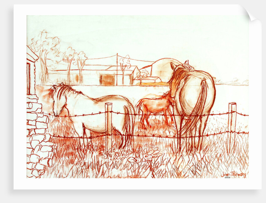 Serenade, Janie and a Donkey in the Meadow, 2000 by Joan Thewsey