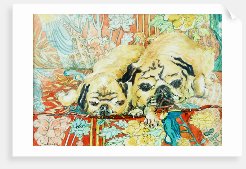 Pugs on a Chinese Print Sofa, 2000 by Joan Thewsey