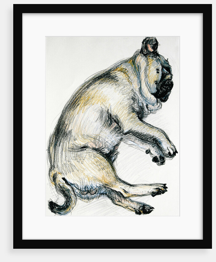 Sleeping Pug One, 2000 by Joan Thewsey