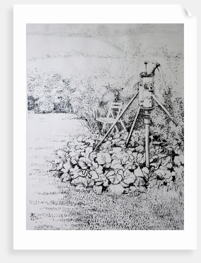 The Garden Pump, 1973 by Joan Thewsey