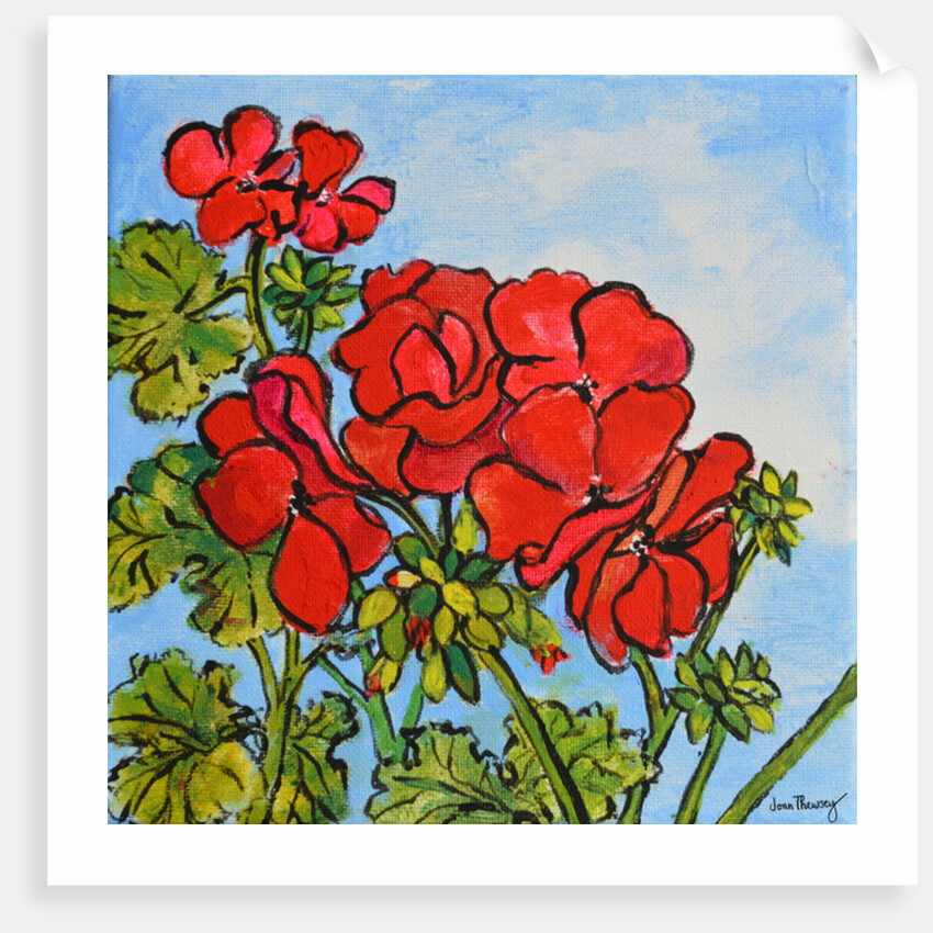 Geranium, 2017 by Joan Thewsey