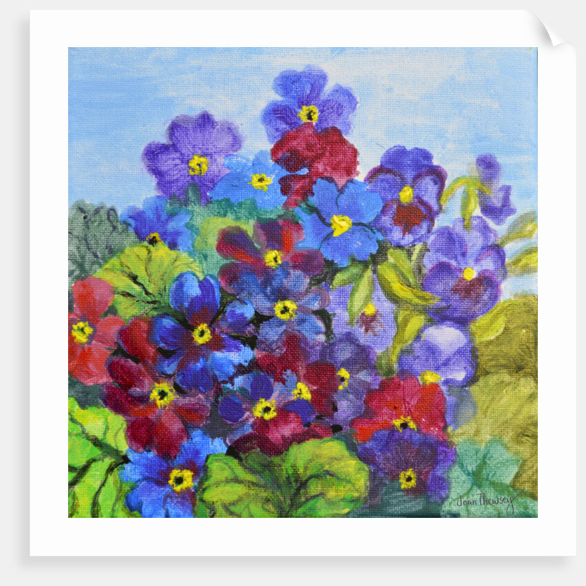 Blue Primroses, 2017 by Joan Thewsey